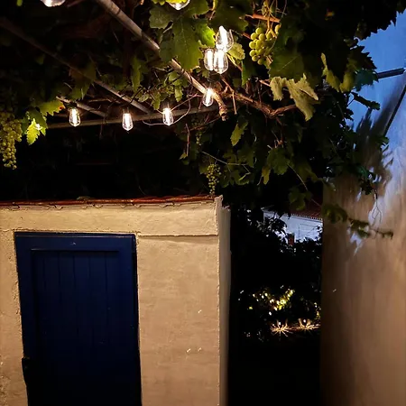 Elia House Rustic Oasis Nyaraló Ándros