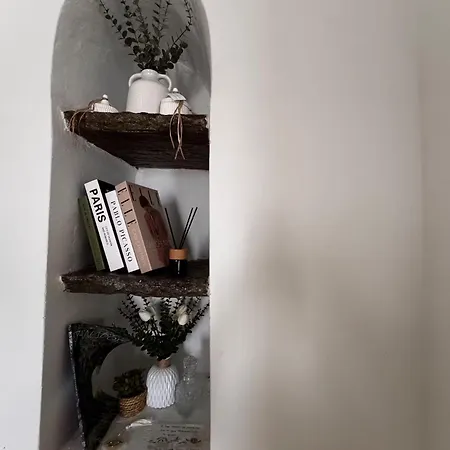 Elia House Rustic Oasis Tatil Evi Ándros